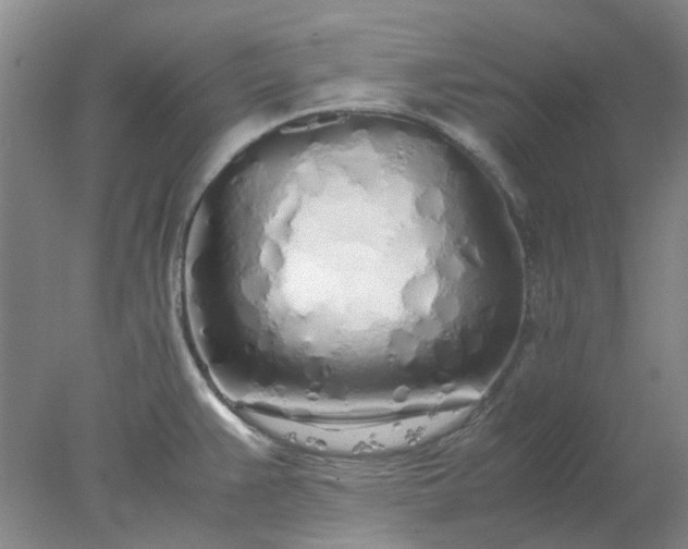 X0000077991383200611101717