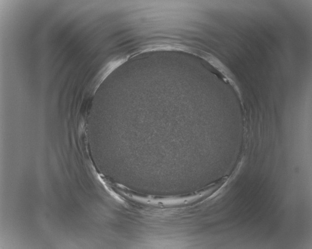 X0000077991385200611101717