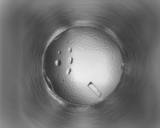 X0000077991386200611101717