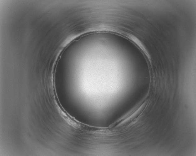 X0000077991388200611101717