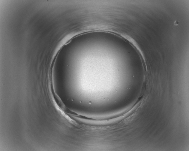 X0000077991389200611101717