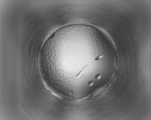 X0000077991390200611101717