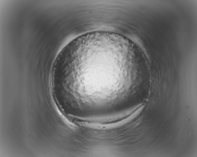 X0000077991391200611101717