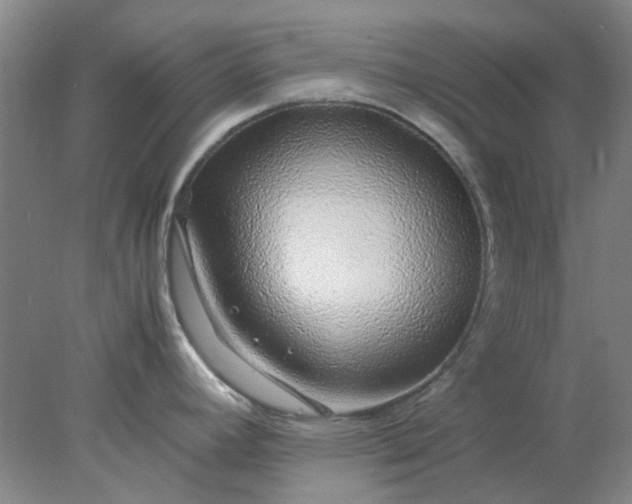 X0000077991392200611101717