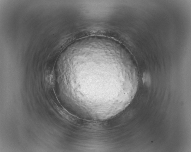 X0000077991396200611101716