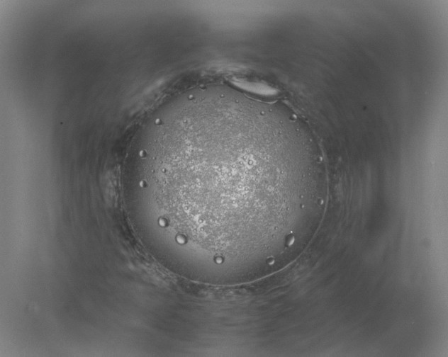 X0000077991397200611101716