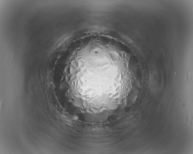 X0000077991399200611101716