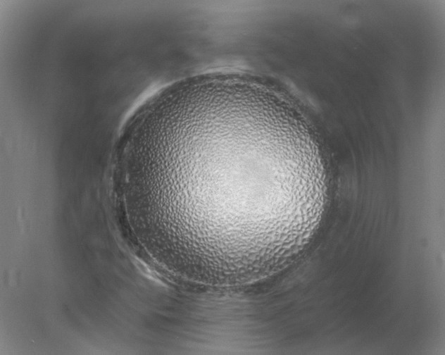 X0000077991400200611101716