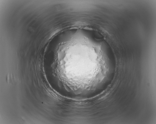 X0000077991401200611101716