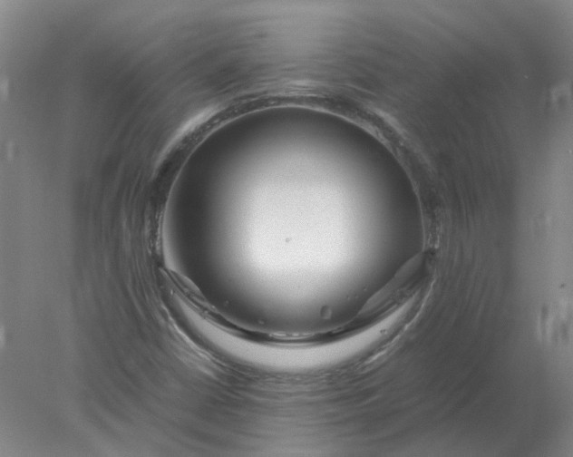 X0000077991402200611101716