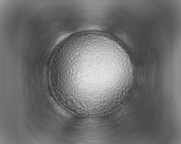 X0000077991404200611101716