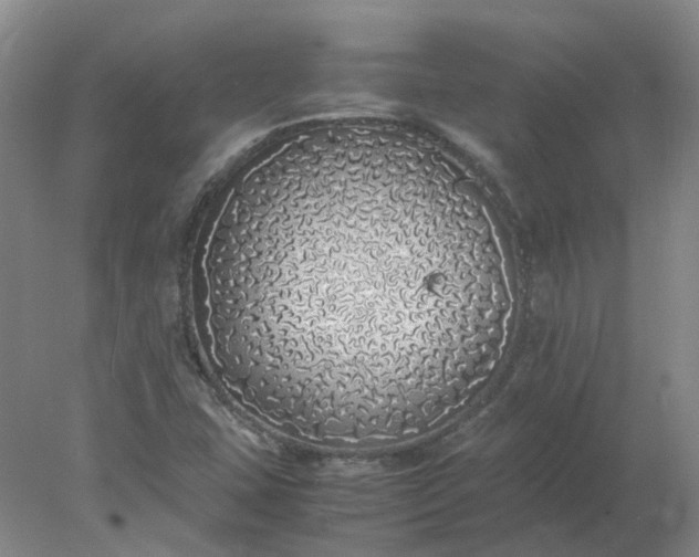 X0000077991407200611101716