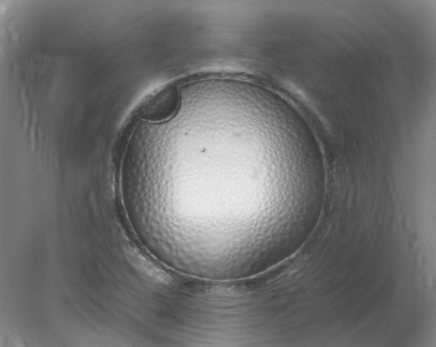 X0000077991408200611101716