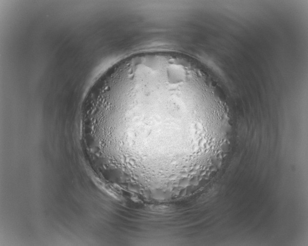 X0000077991413200611101716