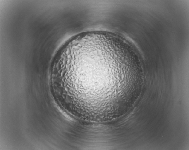 X0000077991416200611101716