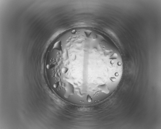 X0000077991419200611101716