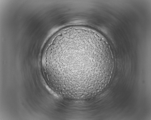 X0000077991421200611101716