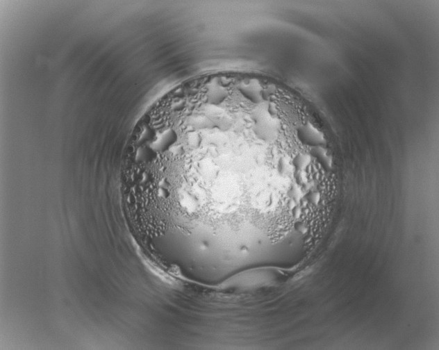 X0000077991425200611101716