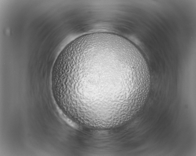 X0000077991431200611101716