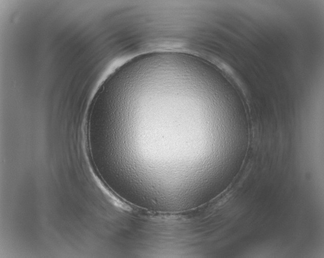 X0000077991432200611101716