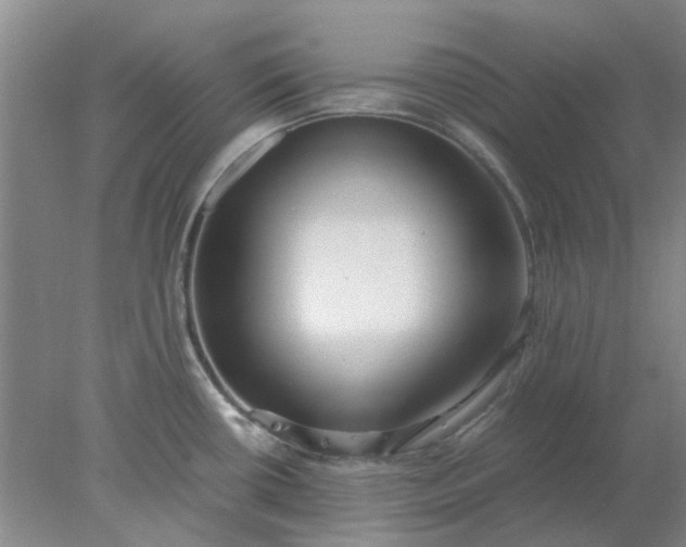 X0000077991434200611101717