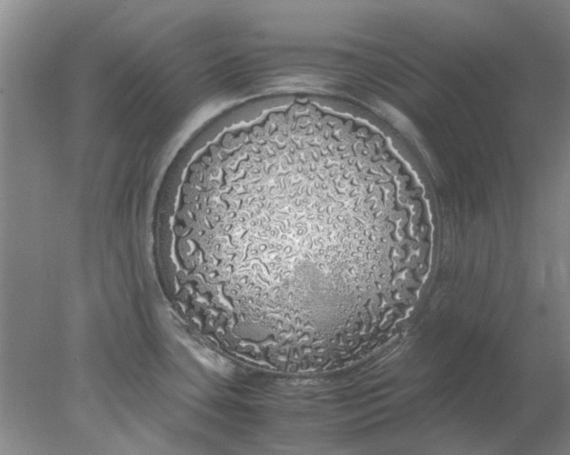 X0000077991435200611101717