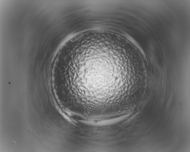 X0000077991437200611101717