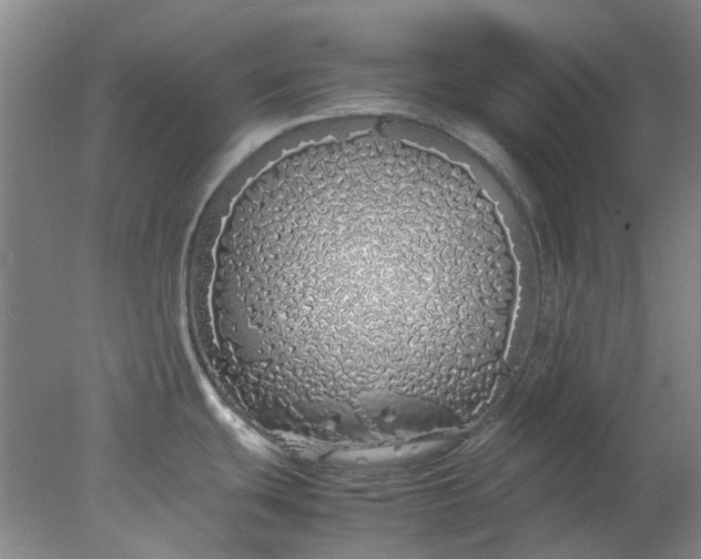 X0000077991439200611101717