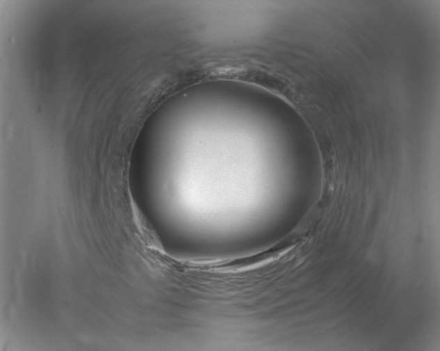 X0000077991441200611101716