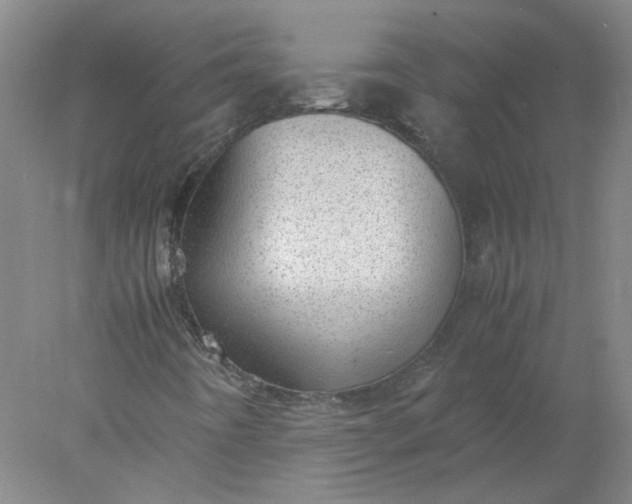 X0000077991442200611101716