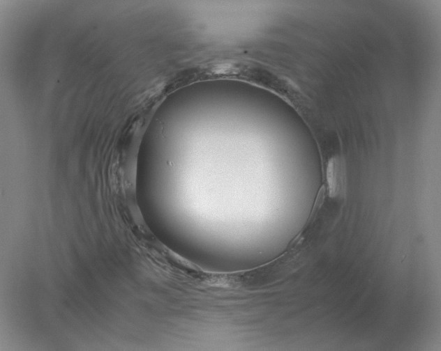 X0000077991443200611101716