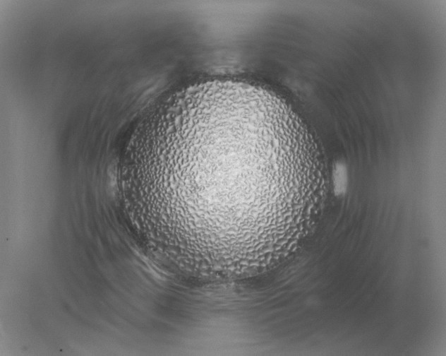 X0000077991444200611101716