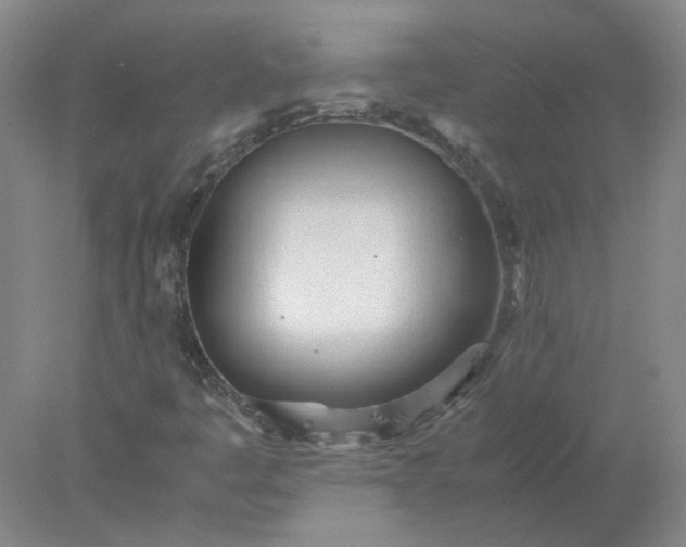 X0000077991445200611101716