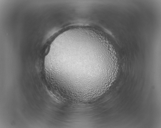 X0000077991448200611101716