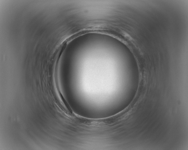 X0000077991449200611101716