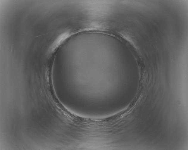 X0000077991455200611101716