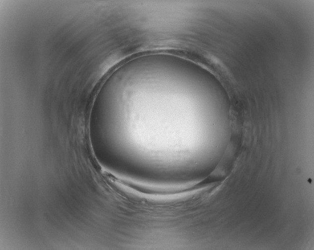 X0000077991457200611101716