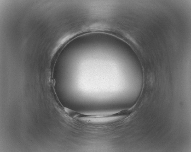 X0000077991461200611101715