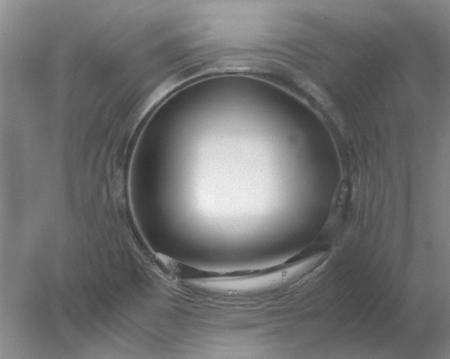 X0000077991465200611101715