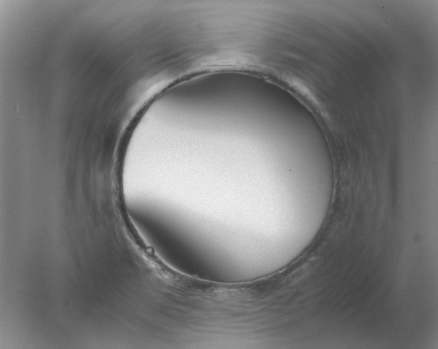 X0000077991469200611101715