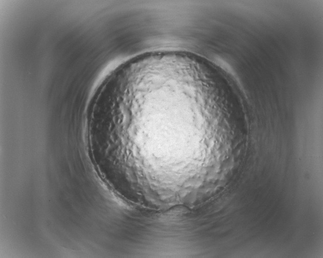 X0000077991472200611101715