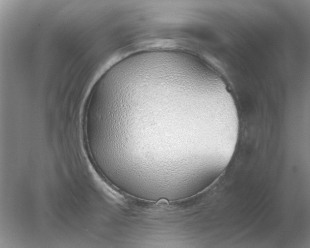 X0000077991475200611101715