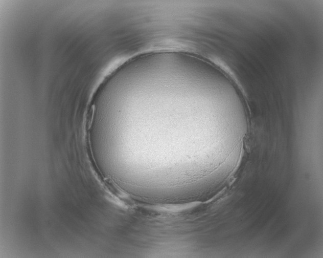 X0000077991477200611101715