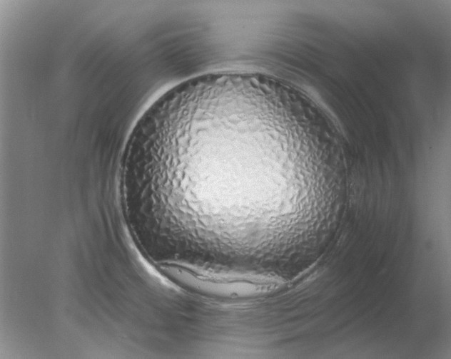 X0000077991484200611101715