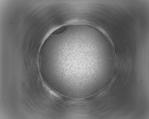 X0000077991486200611101715