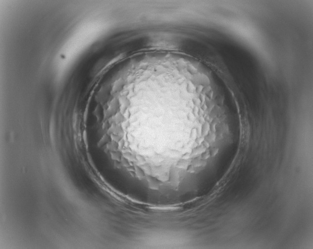 X0000077991487200611101715