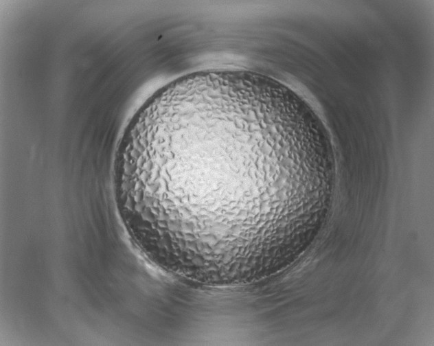 X0000077991488200611101715