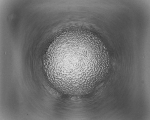 X0000077991489200611101714