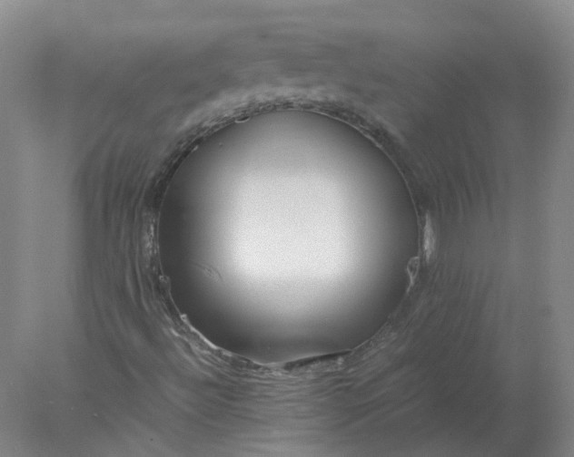X0000077991492200611101714