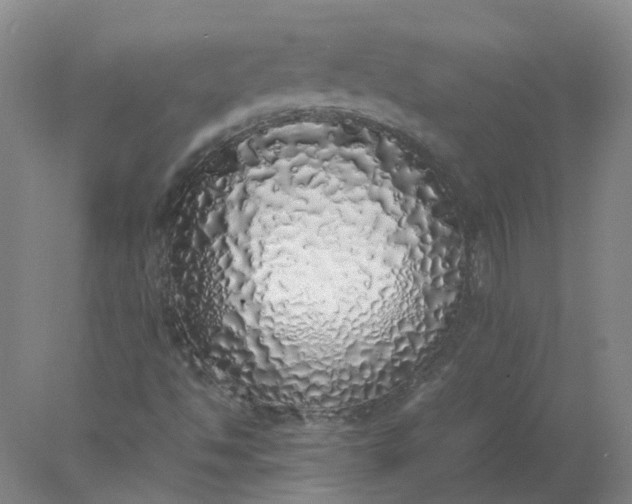 X0000077991494200611101714